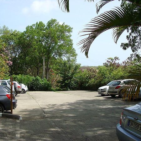 Palm'Studio Anse De Caritan 圣安娜 外观 照片