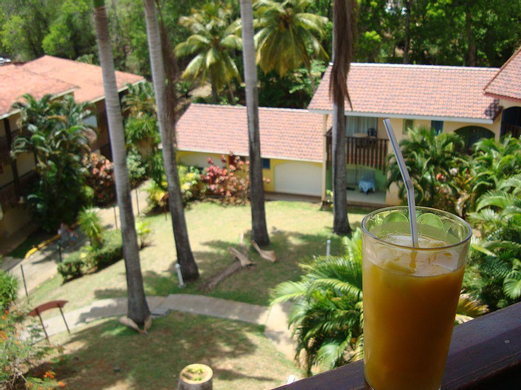 Palm'Studio Anse De Caritan 圣安娜 外观 照片